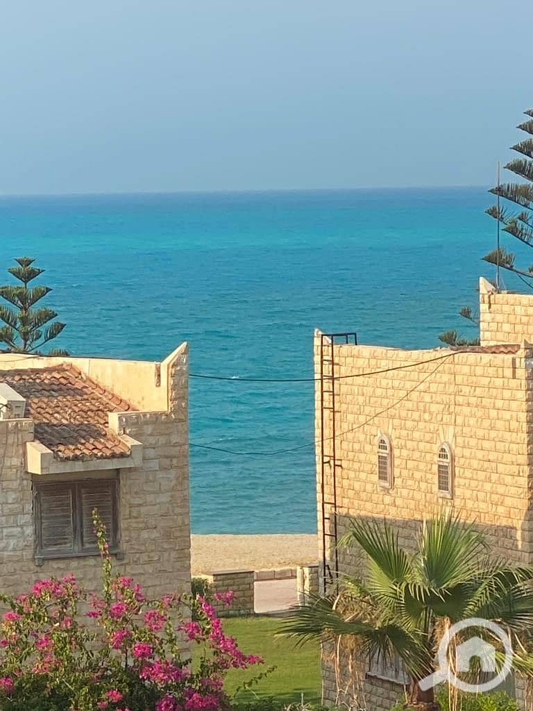 5 3d20acae-a144-4791-87d3-db3e762af720. jpeg