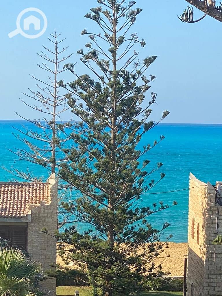 6 4cbb5886-2dd2-40d4-afa7-e53244a215a0. jpeg