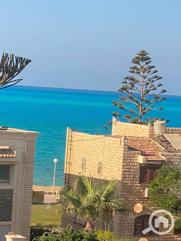 7 895e258e-5d2b-4206-b590-aa93f0fa1015. jpeg