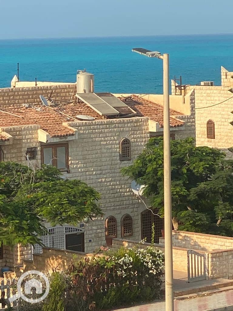 9 843191f9-949c-4fb0-9036-45c1ad352cc8. jpeg