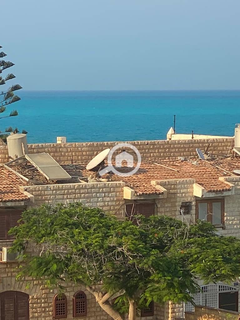 10 db4d2712-ba6f-452c-bc67-190521194a8a. jpeg