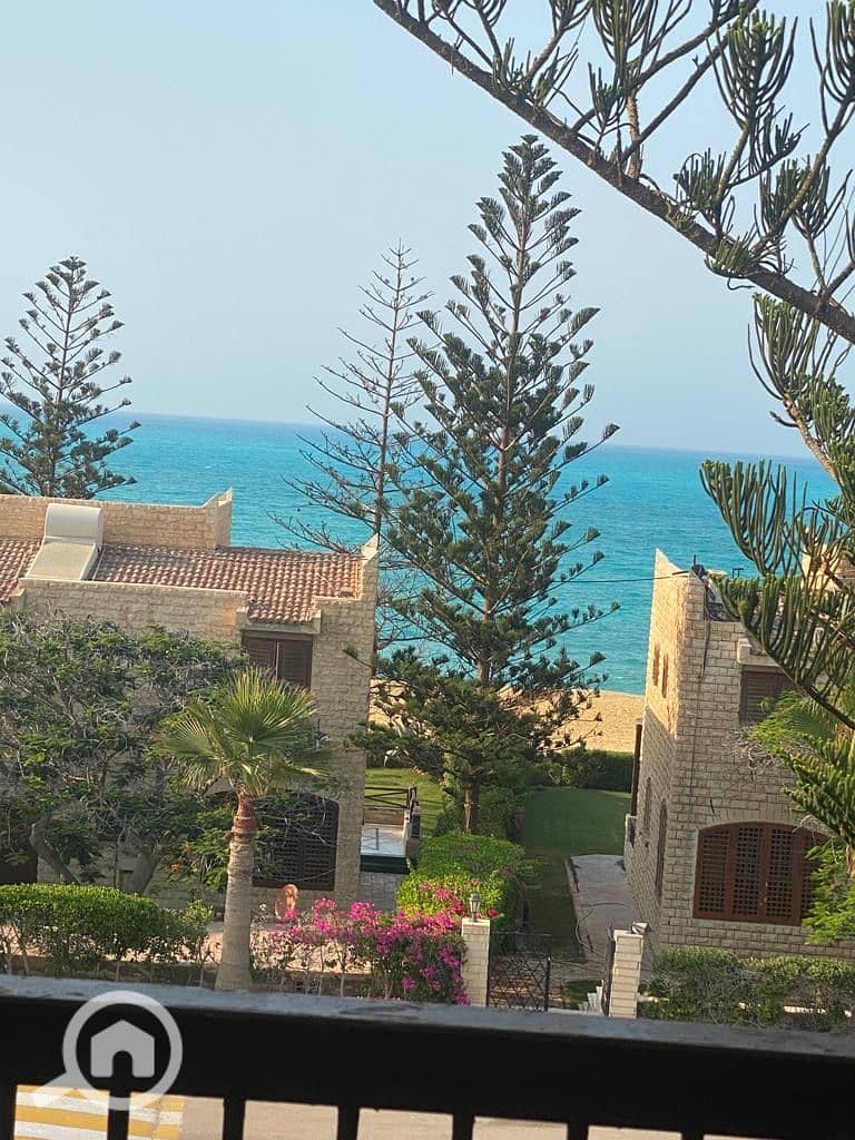 11 b875a745-021b-476a-9fe1-835a91c3a045. jpeg