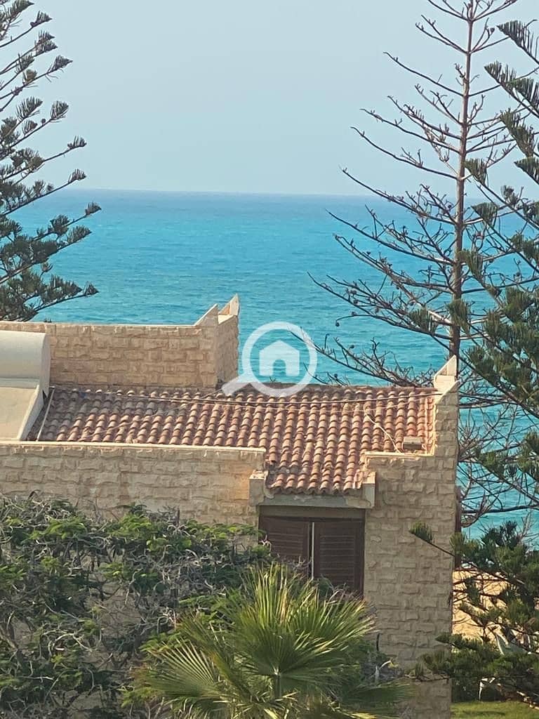 12 7b1d668c-b14a-4335-8e12-75cf773ced7d. jpeg