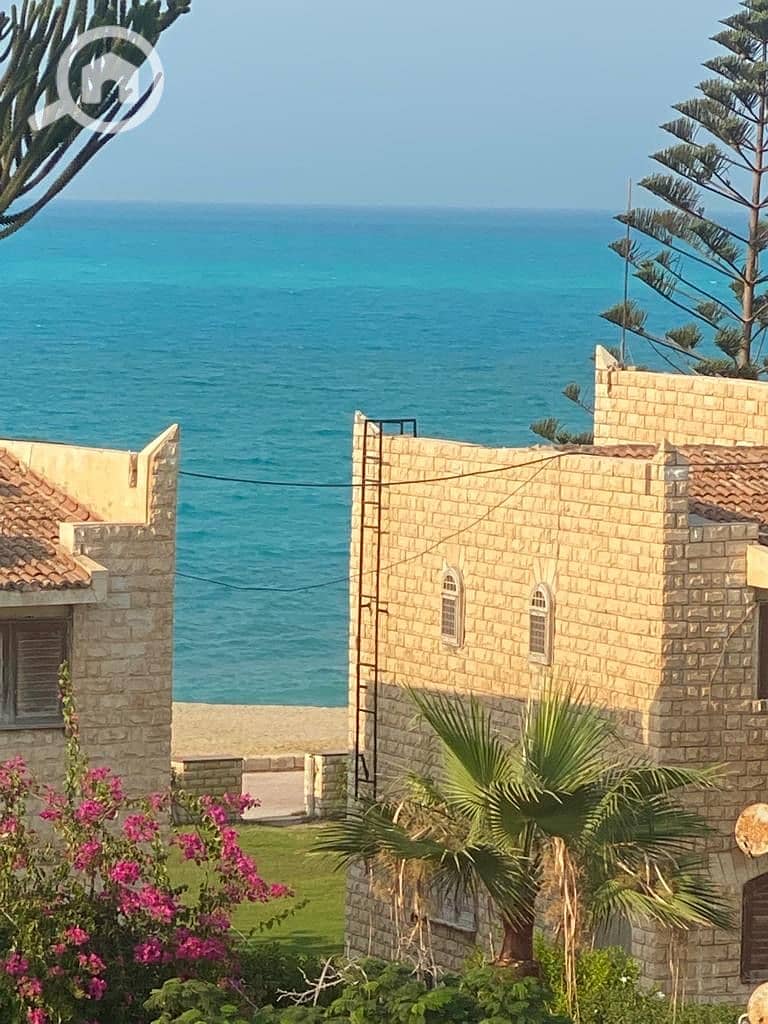 13 d8f7790c-40e4-4e45-b6a6-3f3ab7f9f669. jpeg