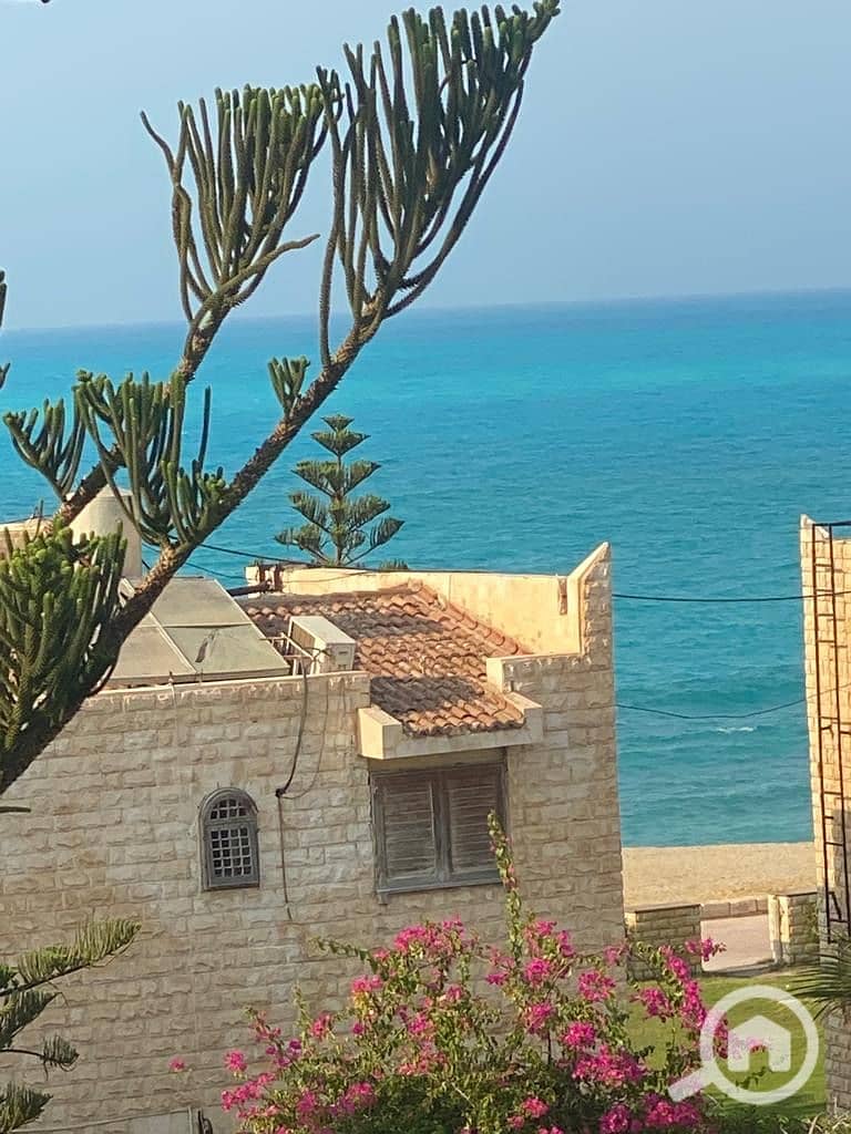 14 1c39f895-9726-4c39-af93-a03077602745. jpeg