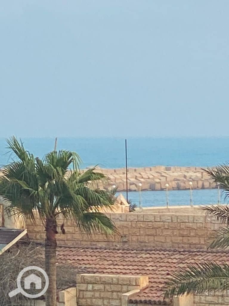 17 2915208d-a41c-4040-837a-ad77f116a766. jpeg