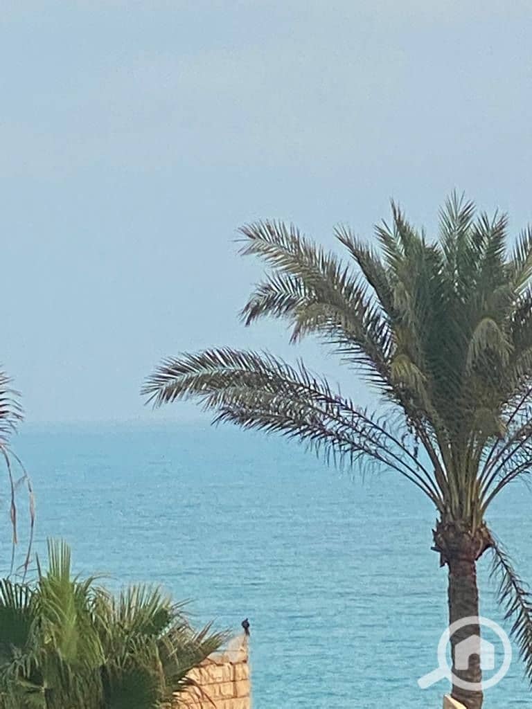 18 1b362728-46b0-4cb4-aade-2ea5aad86c17. jpeg