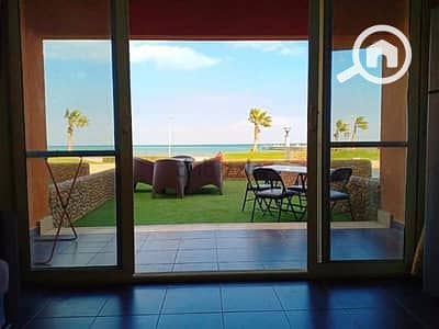 7 65885255-400x300. jpeg