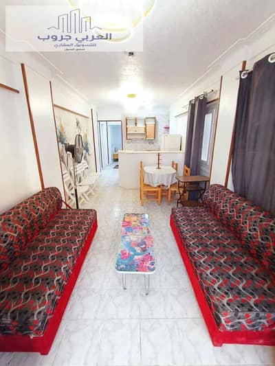 فلیٹ 2 غرفة نوم للبيع في النخيل، الإسكندرية - 54cdd94b-6ebf-4238-9bd4-3505186a9718. jpg