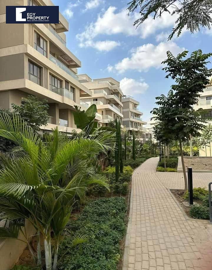 5 518393935_1433084604556326_858171988198965934_n. jpg