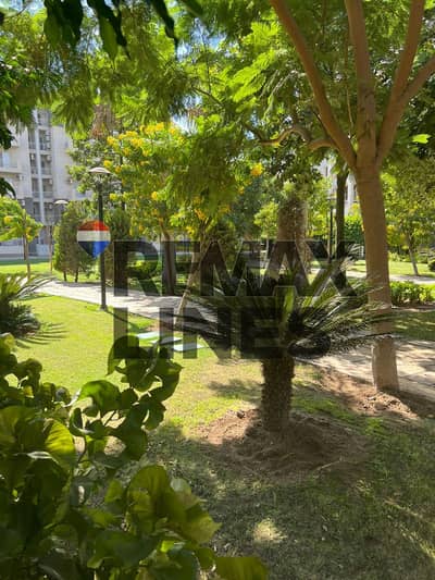 فلیٹ 3 غرف نوم للبيع في مدينتي، القاهرة - WhatsApp Image 2025-11-01 at 11.51. 02 AM. jpeg