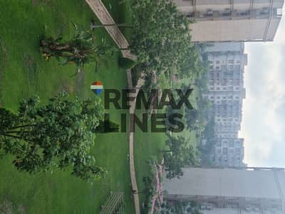 3 Bedroom Flat for Sale in Madinaty, Cairo - WhatsApp Image 2025-11-17 at 1.23. 10 PM. jpeg