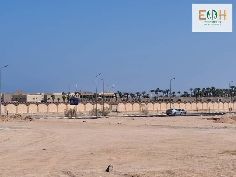 4 WhatsApp Image 2025-09-04 at 17.08. 45. jpeg