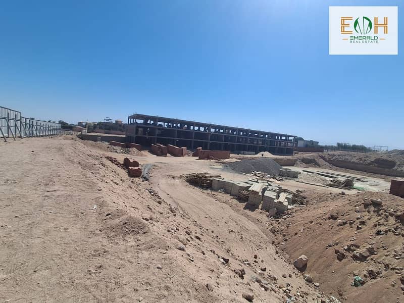 17 WhatsApp Image 2025-09-04 at 17.08. 57. jpeg