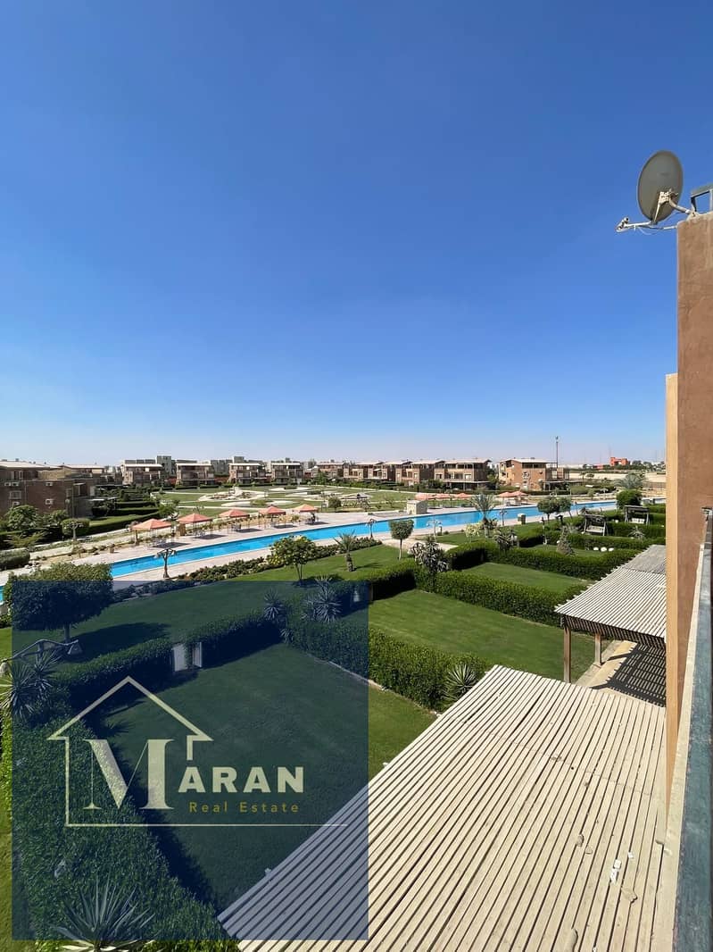 4 54c95fbe-558f-4341-b25e-c285688bc6f4. jpg