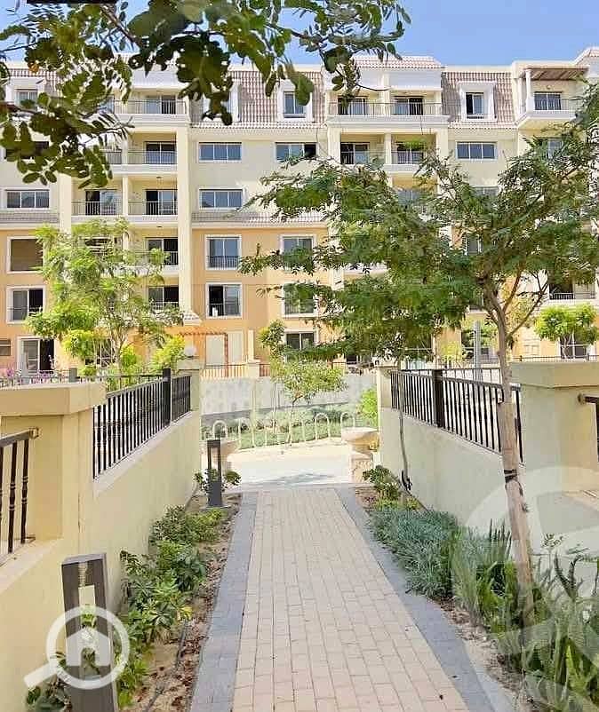 509593837_589629354215731_1908849093216768615_n. jpg