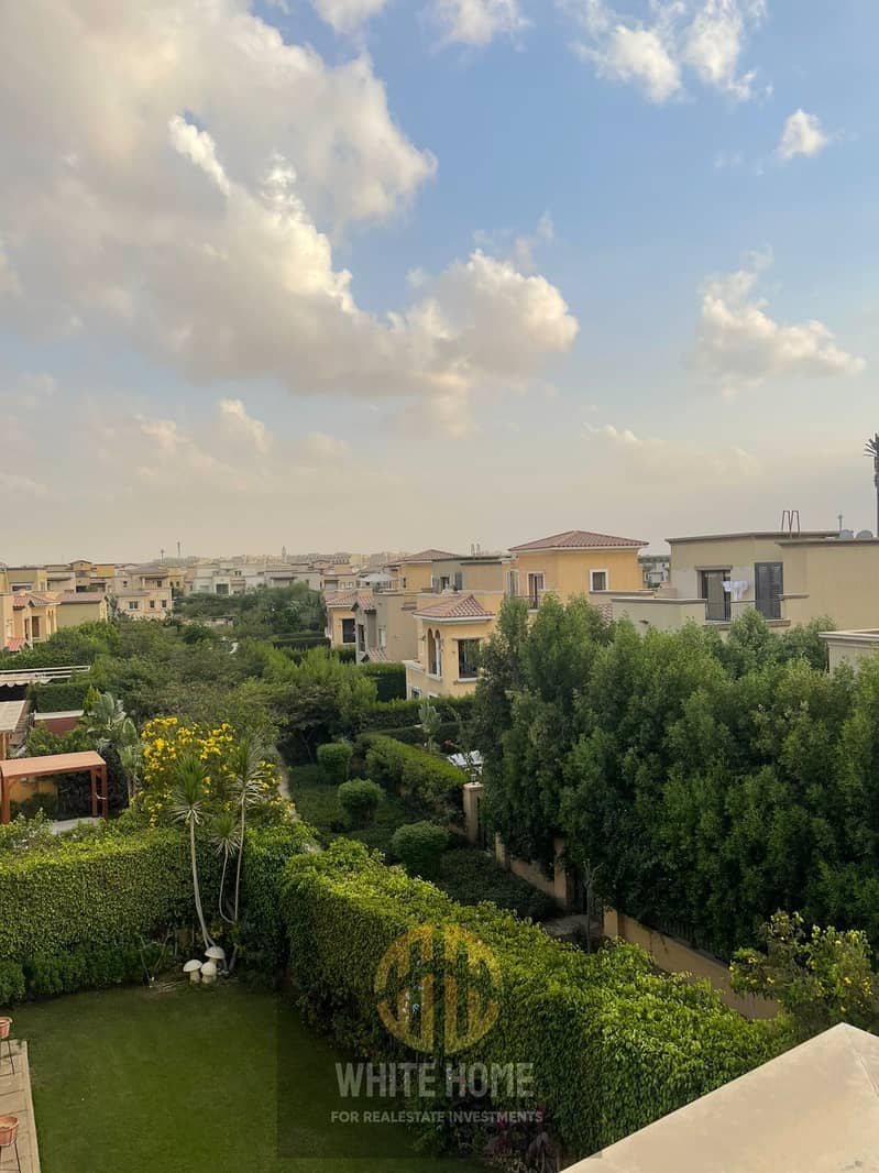 9 2b77e79d-a184-4ae7-962d-765dbfa3311c. jpeg