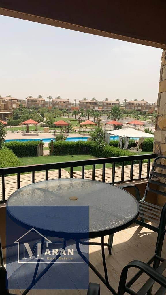 4 6b8b6681-1f93-4141-95aa-e4211f1fbef5. jpg