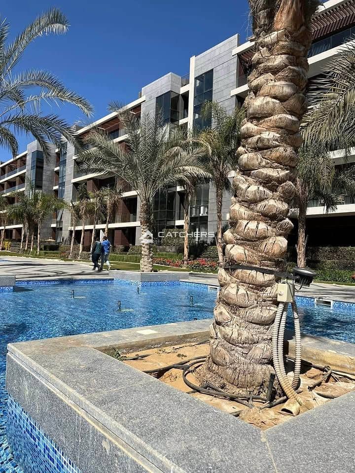 8 497872579_1001667898805438_5240556139748963276_n. jpg