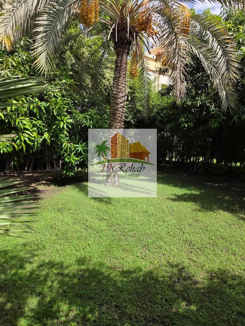 2 9f6392f7-7e60-4e30-8bf2-48990756a0ce. jpg