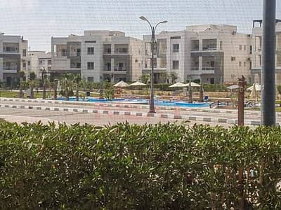 3 Bedroom Duplex for Sale in North Coast, Matruh - IMG-20251115-WA0046. jpg