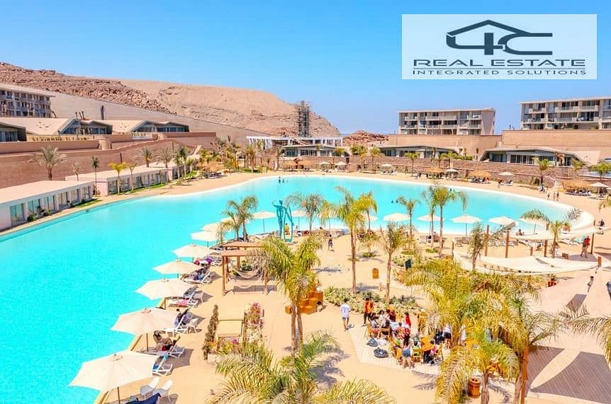 4 4447e7db-2d55-46b2-b925-f836d6fcefc9. jpg