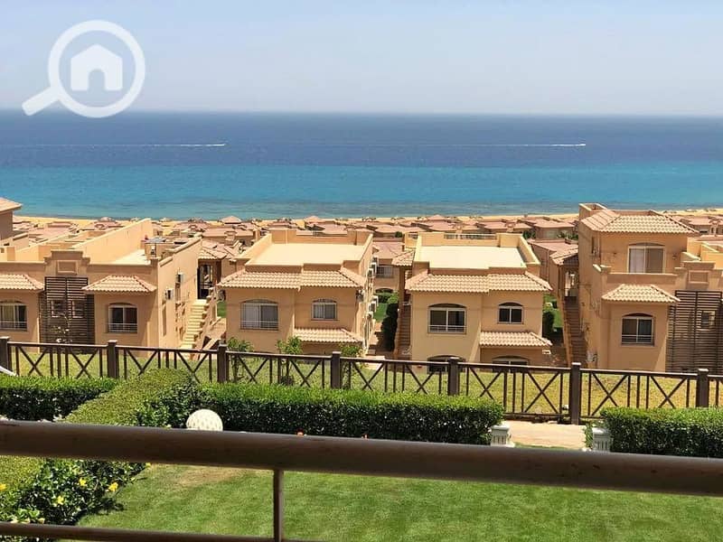 554889855_10230895553233456_7275451275611118987_n. jpg 554889855_10230895553233456_7275451275611118987_n. jpg