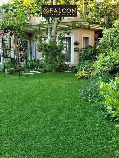 11 449695613_4581844958708113_2270344627019553732_n. jpg