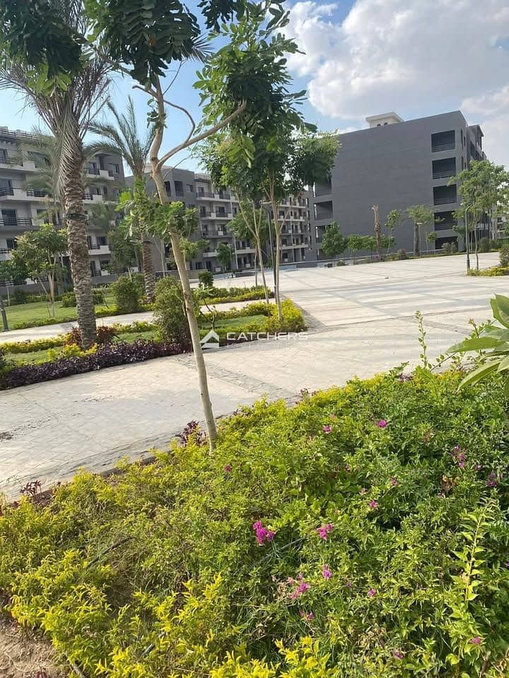 5 530687512_2229885920766704_3470901356806874581_n. jpg