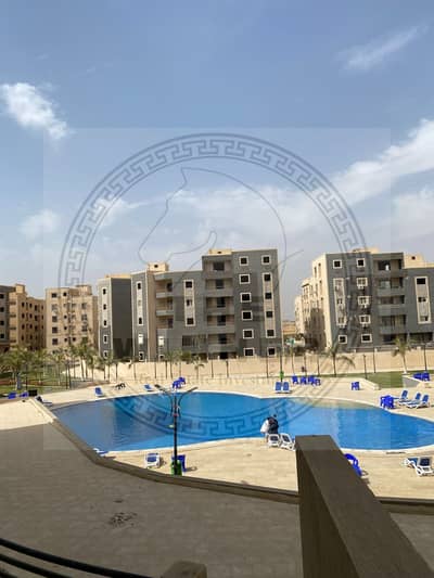 3 Bedroom Apartment for Rent in New Cairo, Cairo - WhatsApp Image 2025-11-19 at 5.01. 53 PM (10). jpeg