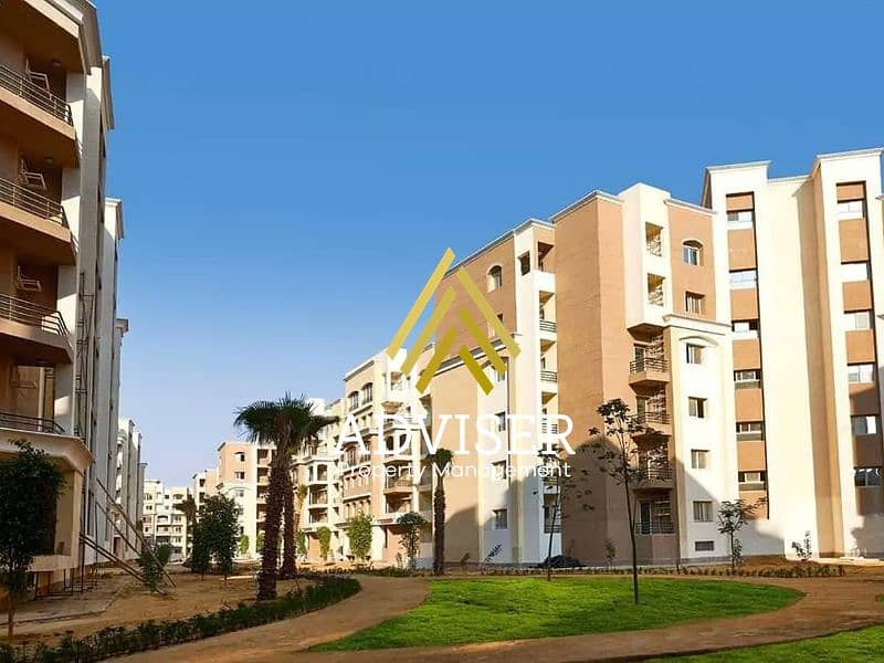 10 4039305-56676o. jpg