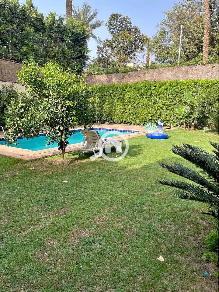 3 561339297_854401060400586_1608148990495005052_n. jpg