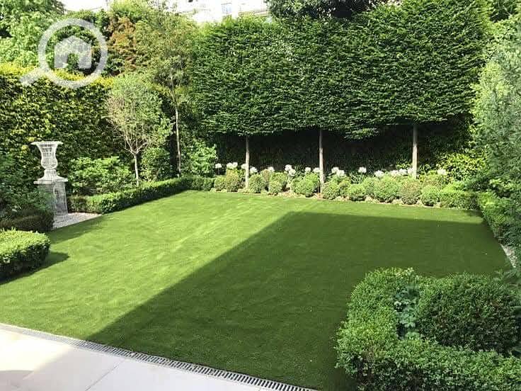 3 FB_IMG_1738263926806. jpg