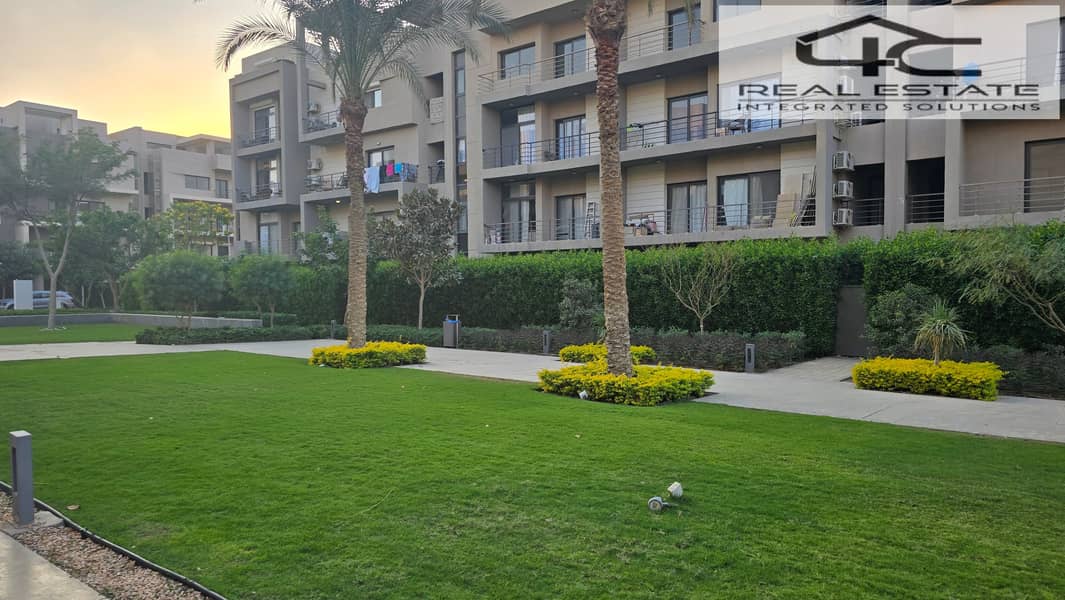 17 20251117_161529. jpg