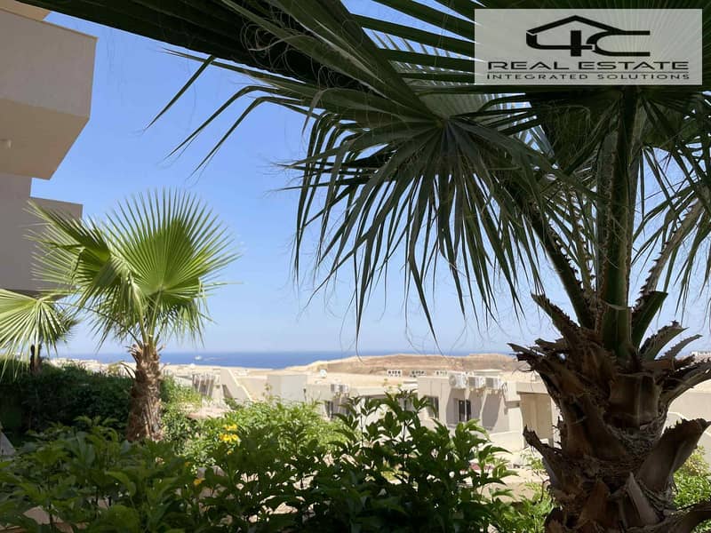 5 WhatsApp Image 2025-11-20 at 2.47. 44 AM. jpeg