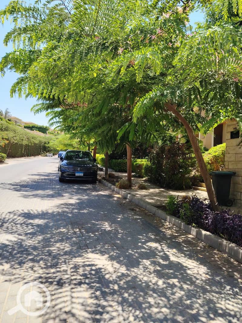 4 photo_2025-07-17_11-42-24. jpg