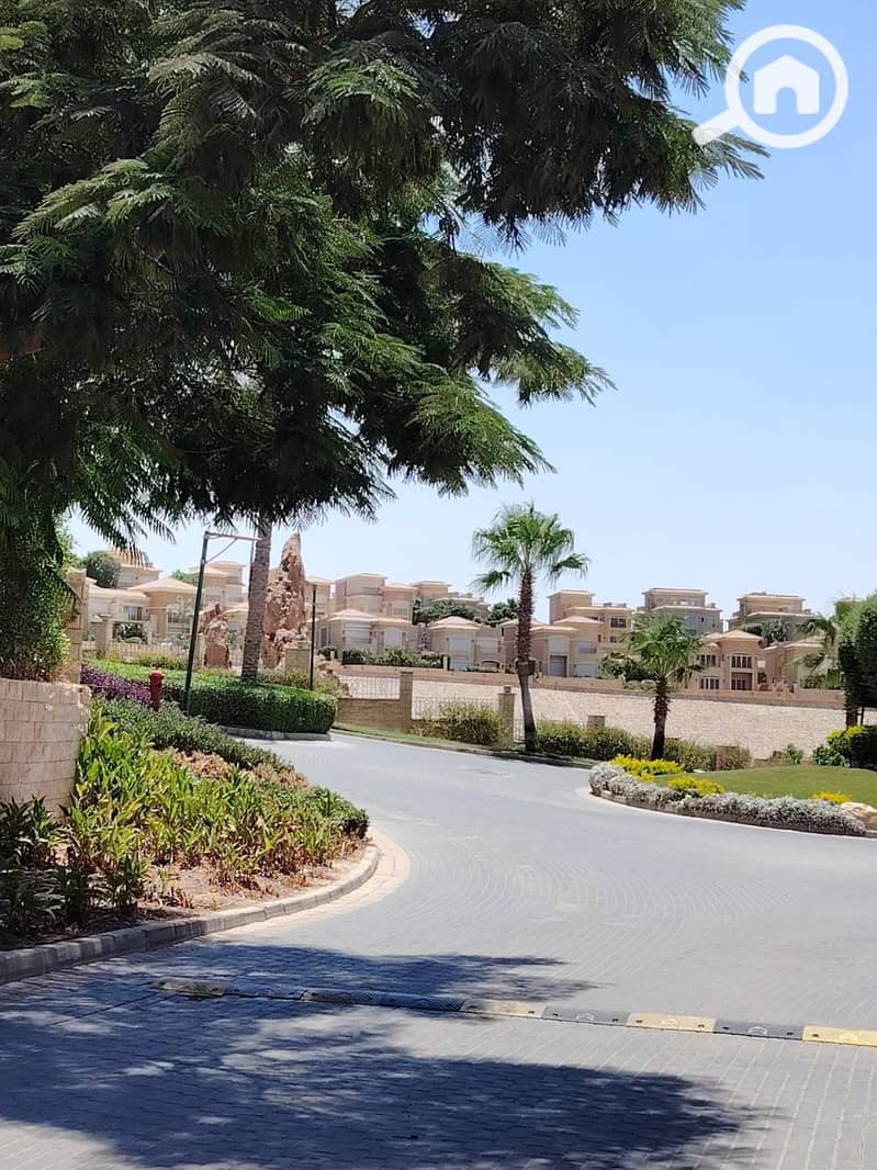 10 photo_2025-07-17_11-50-04. jpg