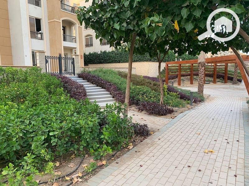 4 2023-02-13 (3). jpg