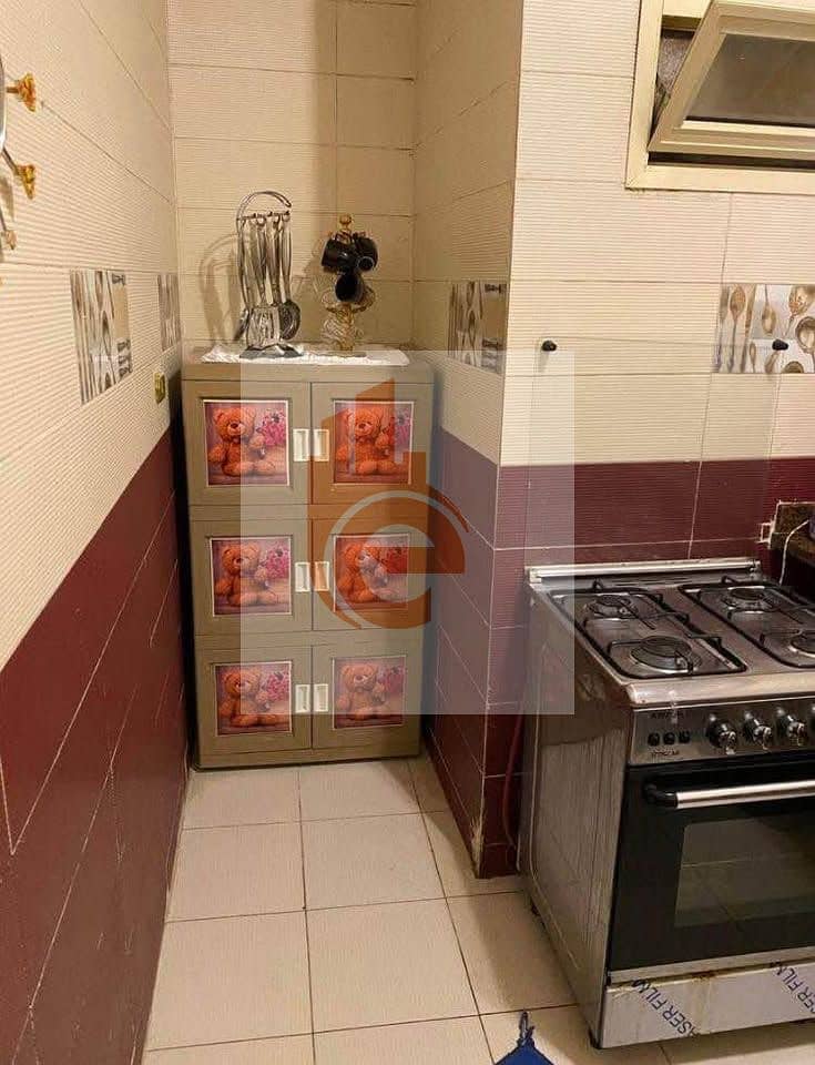 8 513365251_1442253433895503_7067333216441646429_n. jpg