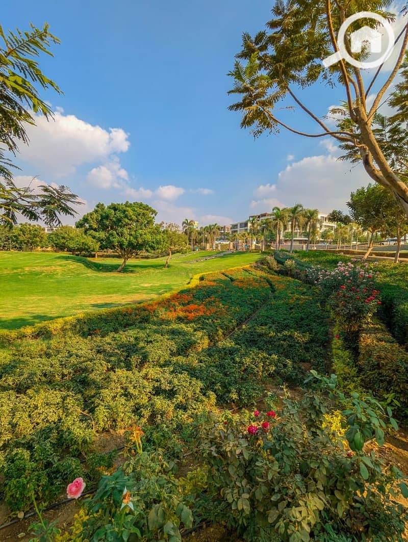 7 558164536_1108380868112604_5331623055871038201_n. jpg