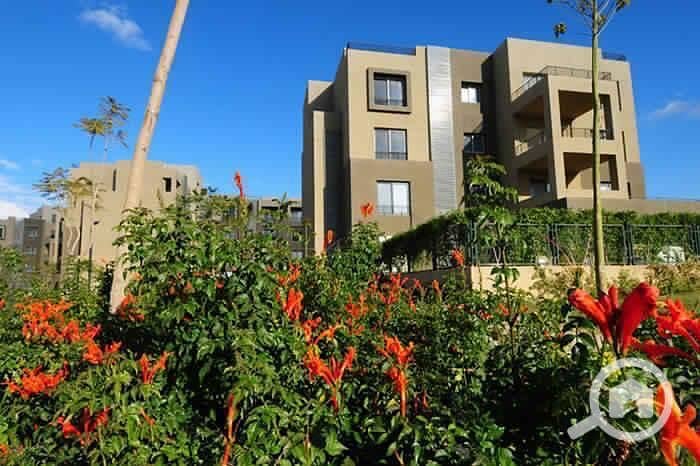 5 WhatsApp Image 2025-11-09 at 06.46. 56_18f25620. jpg