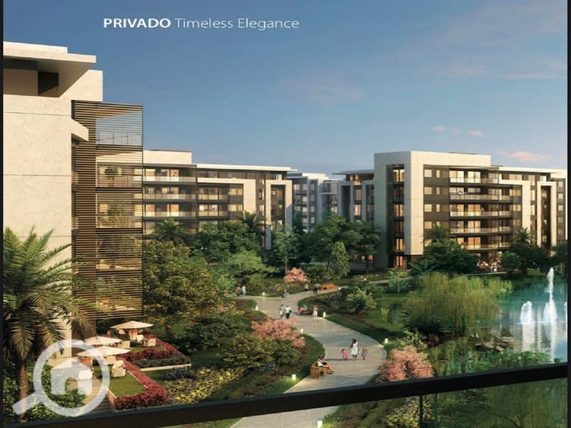 2 ccab3eda-c0ea-41b3-822d-02018934a5fc (1) - Copy - Copy. jpg