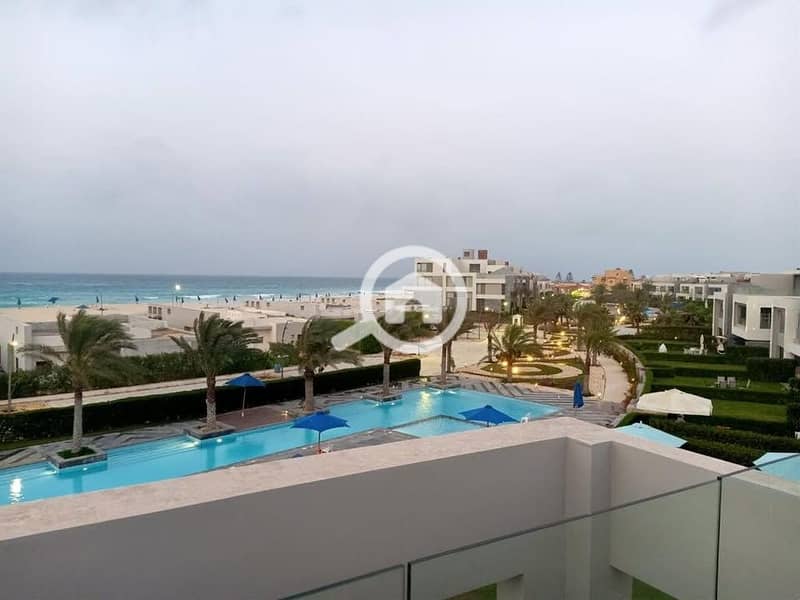 15 488177343_550635617603070_8603824271483587297_n. jpg