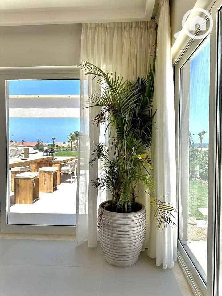 16 489374859_532522886564008_3999353059513079671_n. jpg