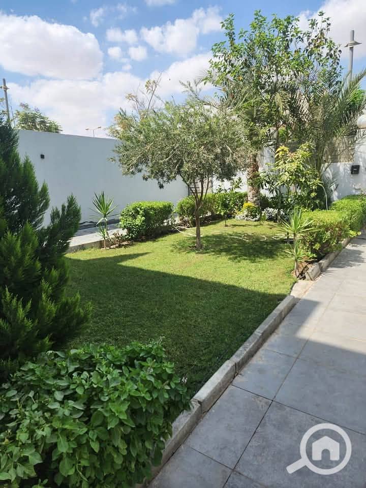 7 FB_IMG_1740236245150. jpg