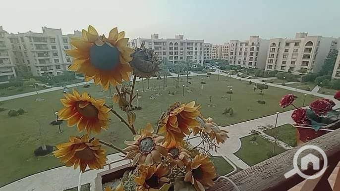 4a02f20d-3146-4c7a-8f5c-b73d0bc3c44b. jpeg