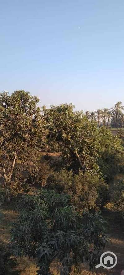 Residential Land for Sale in Imbaba, Giza - c8896a0d-7b5d-4c00-82b0-82386aab11a8. jpg