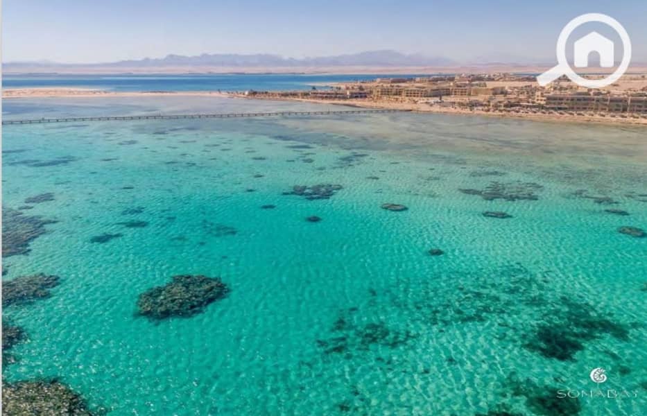 4 Screenshot_27-2-2024_14495_. jpeg