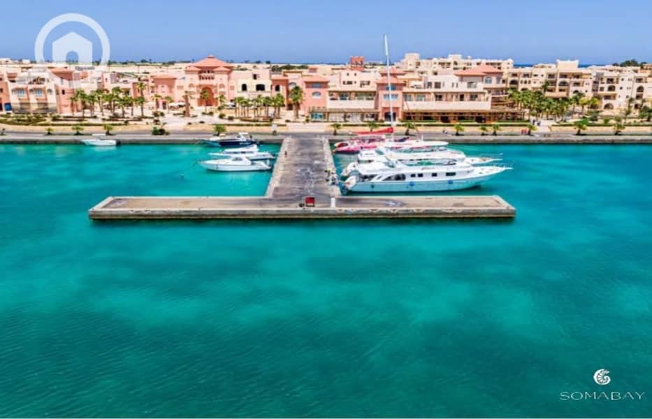 5 Screenshot_27-2-2024_144635_. jpeg