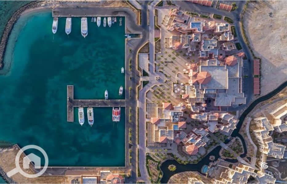 6 Screenshot_27-2-2024_144653_. jpeg